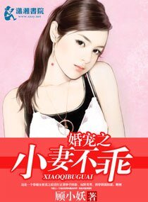 婚寵之小妻不乖